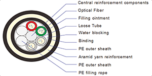 CL-OD-AC01-24-PE