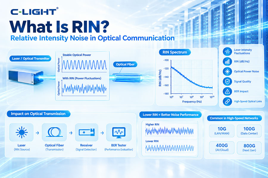 What Is RIN?